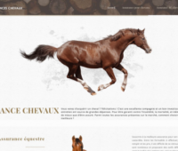 https://www.assurances-chevaux.com